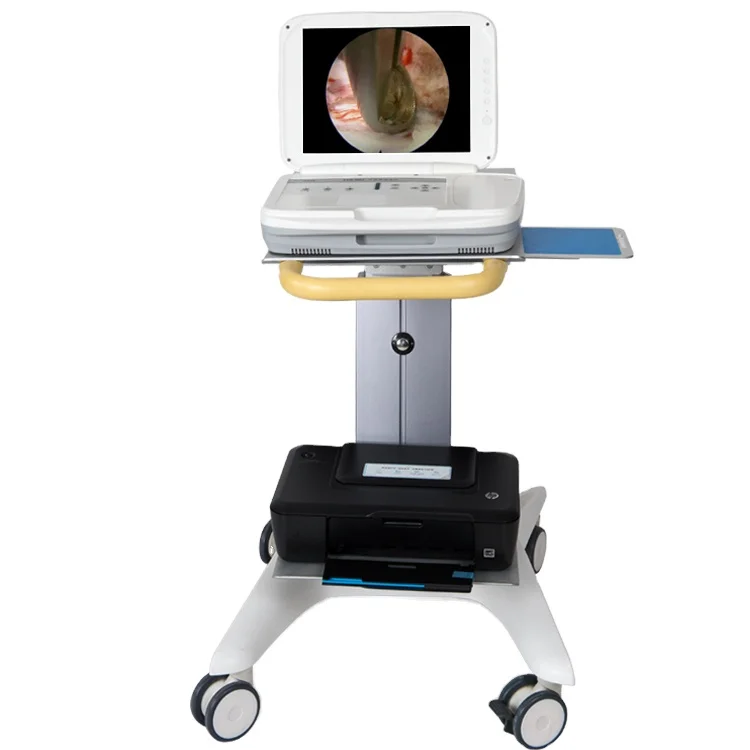 Medical Lab Images - YKD-9003：耳鼻咽喉科用、フルHD対応のポータブル内視鏡システム（医療診断用画像取得装置）