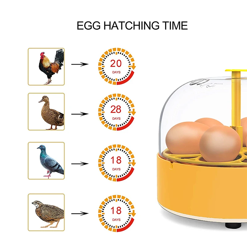 鶏・アヒル・ガチョウ用孵卵器 6卵 自動転卵式 ミニ家庭用自 - Lab Incubator のレビューと価格