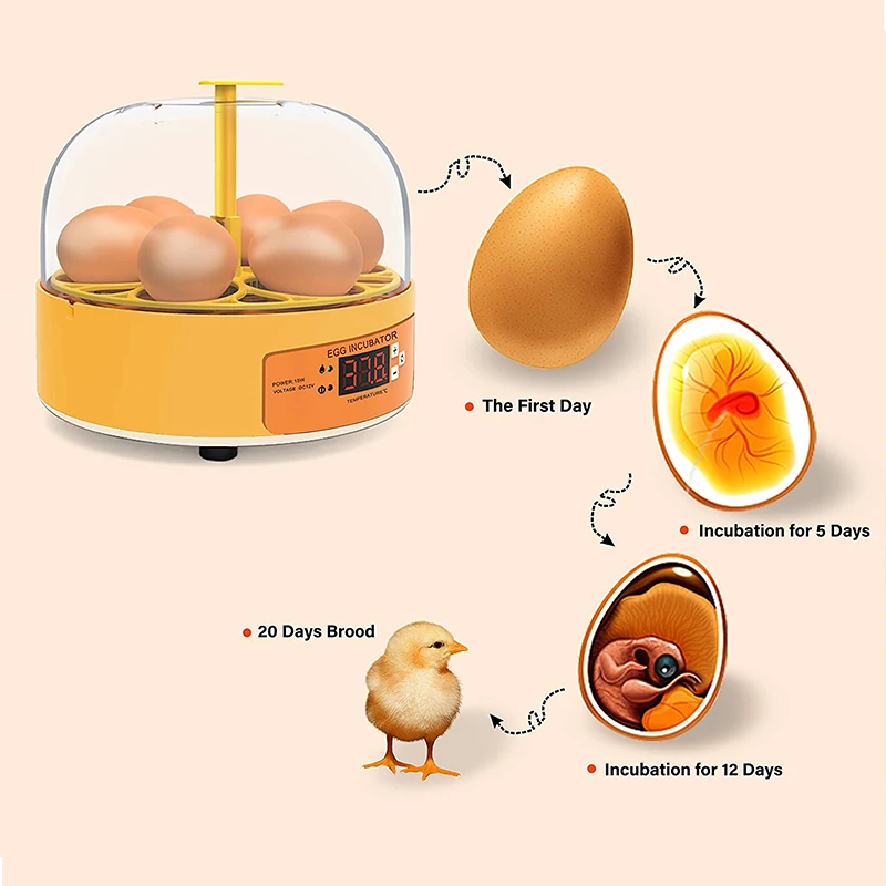 鶏・アヒル・ガチョウ用孵卵器 6卵 自動転卵式 ミニ家庭用自 - Lab Incubator のレビューと価格
