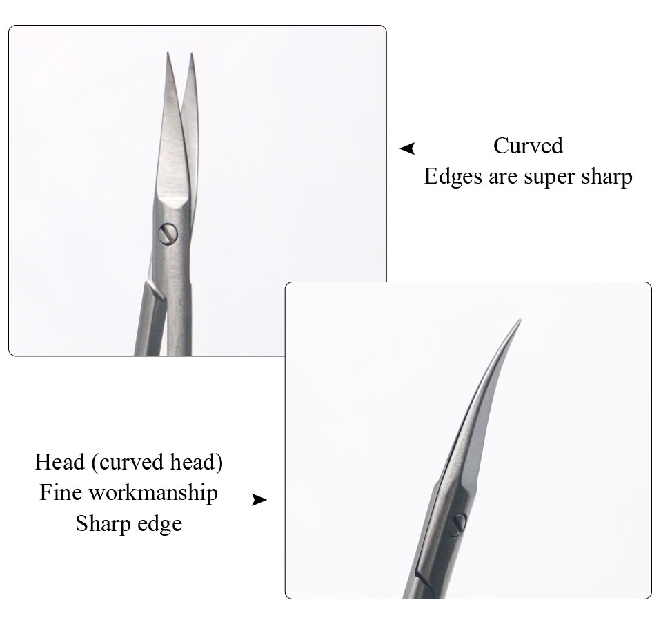歯科用ハサミ止血鉗子ステンレス鋼医療歯科手術器具釣りや精密作 - Medical Scissors のレビューと価格