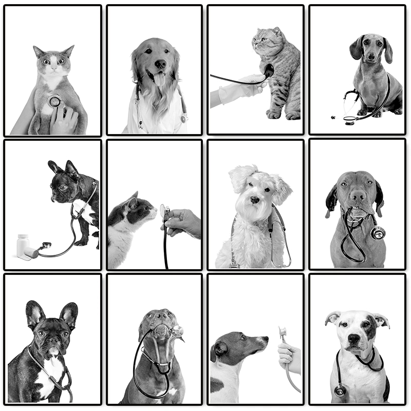 動物医師の獣医ポスター、聴診器を持った犬と猫のキャンバス絵画 - Stethoscope のレビューと価格